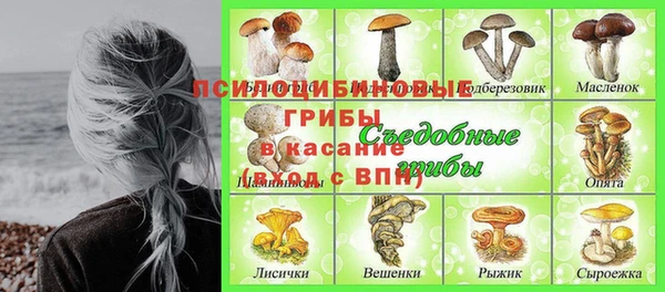 бошки Карпинск