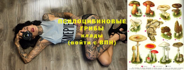 бошки Карпинск