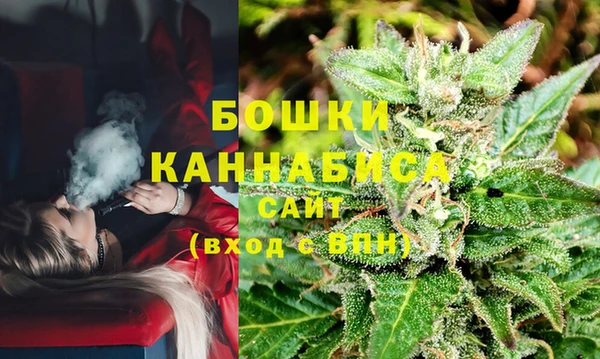 Альфа ПВП Касимов