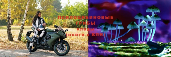 Альфа ПВП Касимов